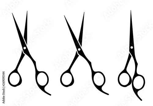 Professional hair scissor set. Vector