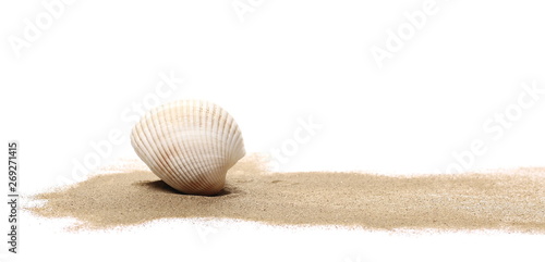 Seashells w piaska stosie odizolowywającym na białym tle