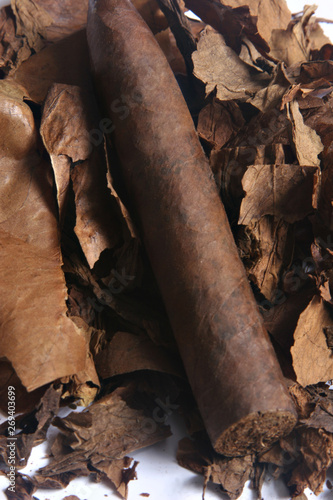 tobacco prepared on tobacco leaves, made by hand.
