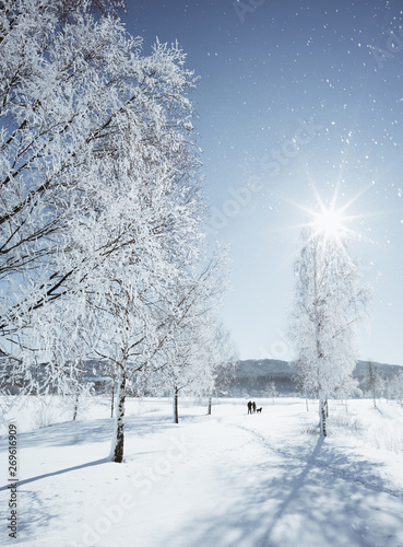 Winter in Jevnaker