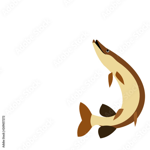 Pike fish clipart