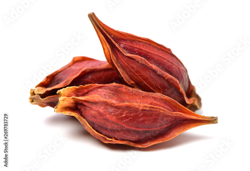 fruit of the gardenia （Gardenia jasminoides Ellis）on white background