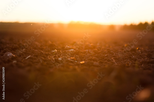 Arable land soil recently ploughed field at sunset
