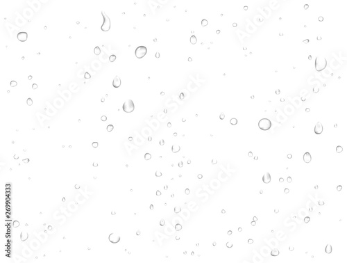 Vector rain water drops on white background. Pure realistic droplets condensed. 