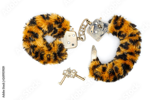 Fluffy cuffs with leopard color for sexual games. White background, isolate. Sex toy for BDSM with animal fur.