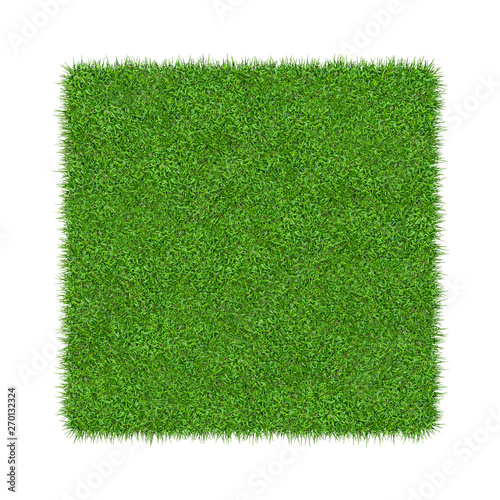 3D render of green grass. Natural texture background. Fresh spring green grass. Isolated on white background.