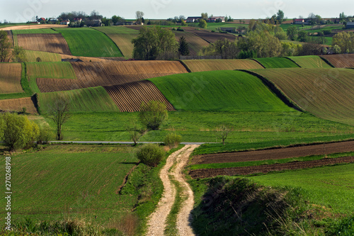 Świętokrzyskie pola