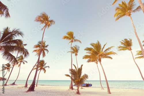 Coconut palm trees an pristine bounty beach