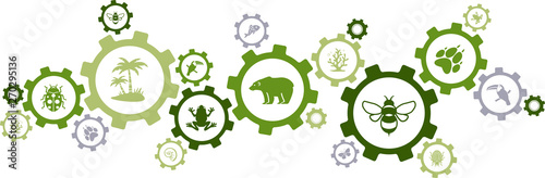 biodiversity icon concept – endangered species & wildlife icons, vector illustration