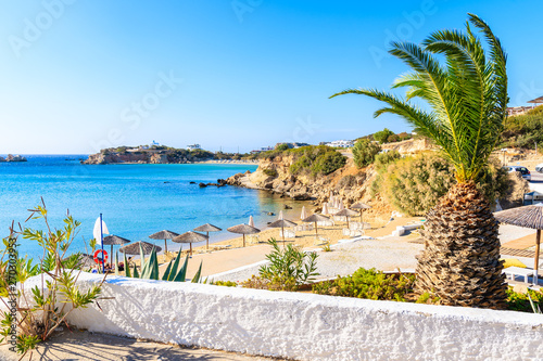 Palm tree and beautiful Ammopi beach, Karpathos island, Greece