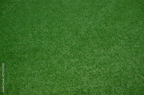 fresh green grass texture background
