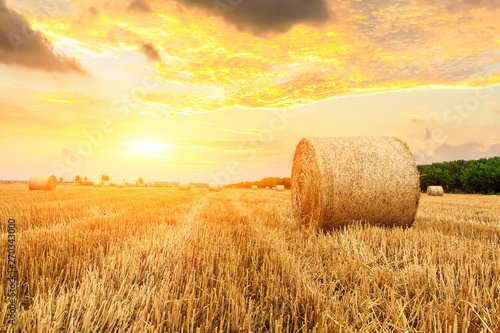 Round straw bales on farmland