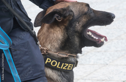 Polizeihund