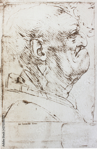 Caricatures of man by Leonardo Da Vinci in the vintage book Disegni di Leonardo by L. Beltrami, Milan, 1904