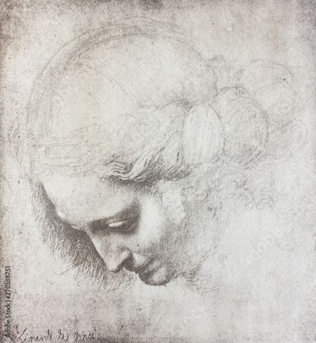 The head of the woman by Leonardo Da Vinci in the vintage book Disegni di Leonardo by L. Beltrami, Milan, 1904