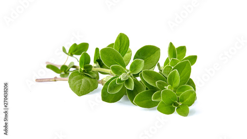 Oregano or marjoram leaves isolated on white background