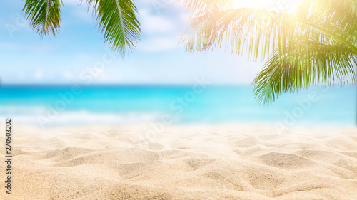  Sunny tropical Caribbean beach with palm trees and turquoise water, island vacation, hot summer day