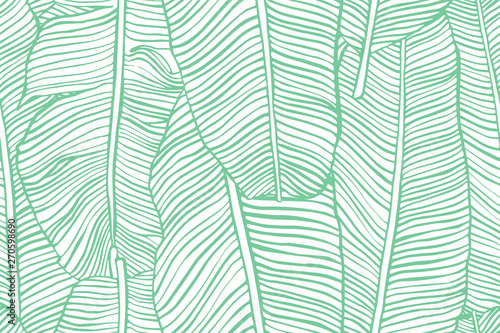 Tropical leaves. Seamless texture with banana leaf. Hand drawn tropic foliage. Exotic green background.