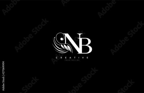 Initial NB letter luxury beauty flourishes ornament monogram logo