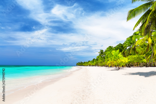 Kokosowe palmy na białej, piaszczystej plaży.