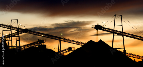 Panoramic Gravel Plant Landscape