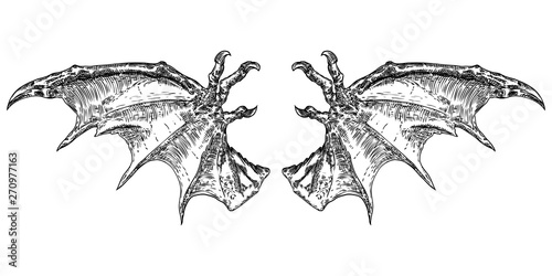 Hand drawn vintage etched woodcut fallen angel or vampire detailed wings. Dragon or gargoyle wings. Heraldic wings for tattoo and mascot design. Isolated sketch collection. Vector.