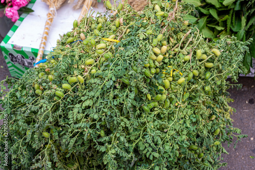 Fresh chickpeas branches on the market