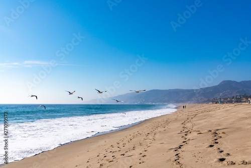 malibu beach 