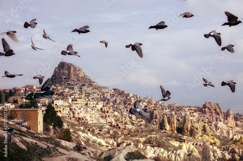 scenic landscape of old town of Cappadocia and flying pigeons in middle east Turkey