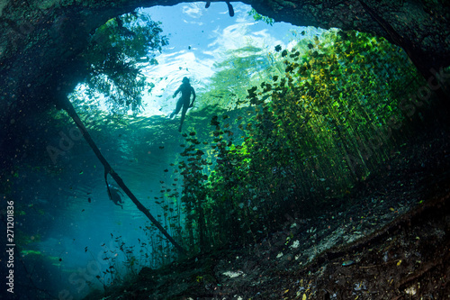 Cave diving in mexican cenotes