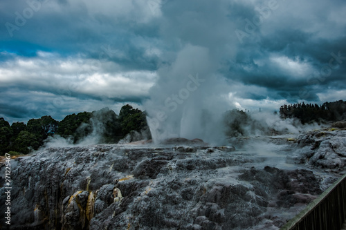 Te Puia geyser erupting in Rotorua, New Zealand North Island