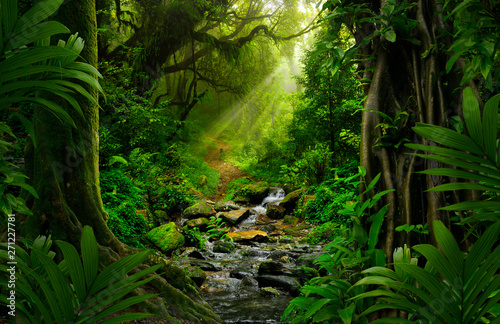 Las deszczowy Azji Południowo-Wschodniej z głęboką dżunglą