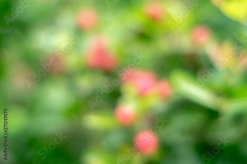Green blurred background and sunlight,Element of design.