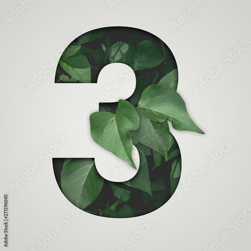 Nature concept. Creative number with green leaves on a gray background. Creative typography, Chapter in the presentation, template. 3 number three.