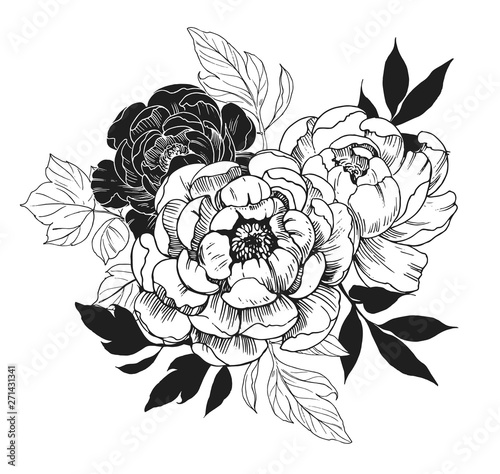 Background with peony flowers. Floral comtosition. Hand drawn elements converted to vector