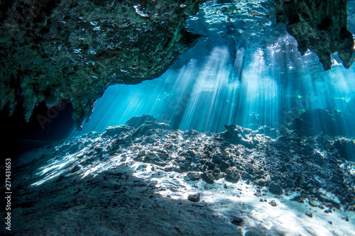 Underwater Gran Cenote Yucatan Mexico