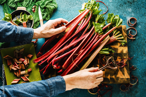 cropped shot of person holding fresh ripe healthy rhubarb stalks 