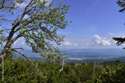 Sniezka, Karkonosze, Sudety 