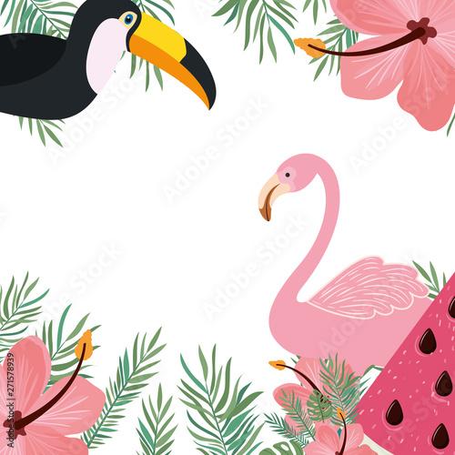 pattern of tucan and flemish with summer flowers