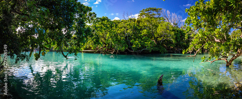 The Blue Lagoon, Port Vila, Efate, Vanuatu