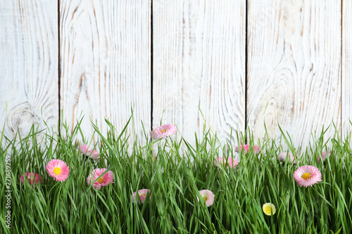 Vibrant green grass with beautiful flowers against white wooden background, space for text