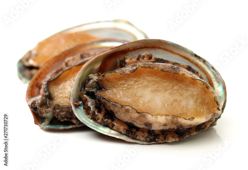 Raw abalones on the white background 