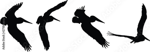 pelicans in flight silhouette 