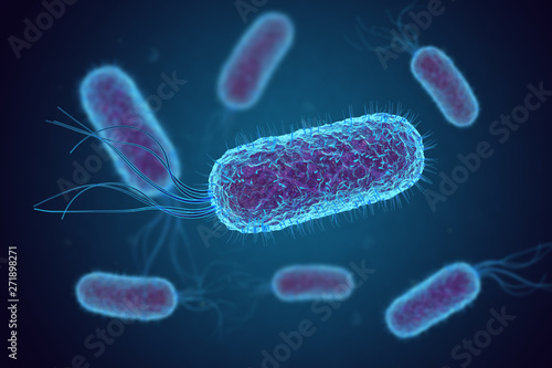 Escherichia Coli (E. Coli.) cells or bacteria under microscope