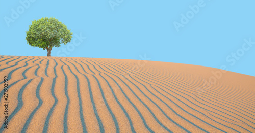 Beautiful landscape with lonely tree in the desert 