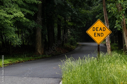 Yellow "DEAD END" sign next to dark winding road in the middle of nowhere