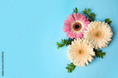 Flat lay composition with beautiful bright gerbera flowers on color background, top view. Space for text