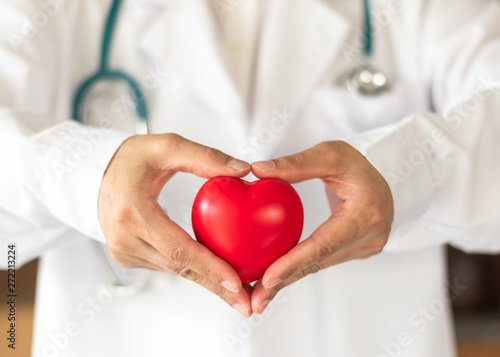 Cardiovascular disease doctor or cardiologist holding red heart in clinic or hospital exam room office for csr professional medical service, cardiology health care and world heart health day concept