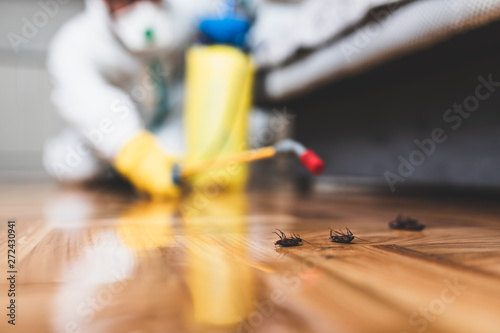 Exterminator in work wear spraying pesticide with sprayer. Selective focus.