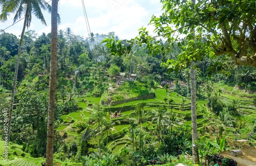 A girl riding on a swing over the rice fields